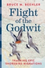 Image for Flight of the Godwit