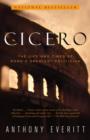 Image for Cicero: a turbulent life