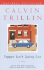 Image for Tepper isn&#39;t going out: a novel