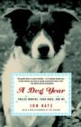 Image for A dog year: rescuing Devon, the most troublesome dog in the world