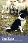 Image for The dogs of Bedlam Farm: an adventure with sixteen sheep, three dogs, two donkeys, and me