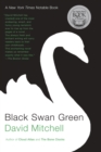 Image for Black Swan Green: a novel