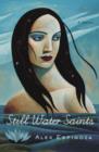 Image for Still water saints: a novel