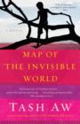 Image for Map of the Invisible World: A Novel