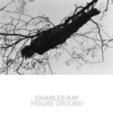Image for Charles Ray - figure ground