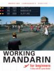 Image for Working Mandarin for Beginners