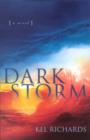 Image for Dark Storm
