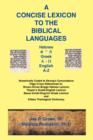 Image for Concise Lexicon to the Biblical Languages