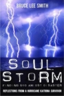 Image for Soul storm  : finding God amidst disaster