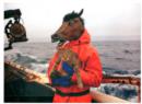 Image for FISH WORK THE BERING SEA