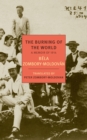 Image for The burning of the world  : a memoir of 1914