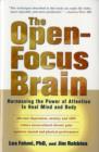 Image for The Open-focus Brain