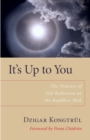 Image for It&#39;s up to you  : the practice of self-reflection on the Buddhist path