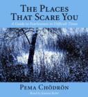 Image for The places that scare you  : a guide to fearlessness in difficult times