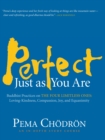 Image for Perfect Just as You Are