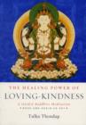 Image for The healing power of loving-kindness  : a guided Buddhist meditation