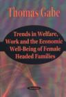 Image for Trends in Welfare, Work &amp; the Economic Well-Being of Female Headed Families