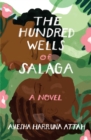 Image for The hundred wells of Salaga