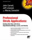 Image for Professional Struts Applications