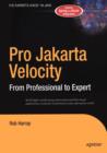 Image for Pro Jakarta Velocity