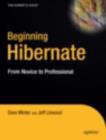 Image for Beginning Hibernate : From Novice to Professional