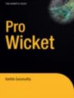 Image for Pro Wicket