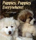 Image for Puppies, Puppies Everywhere!