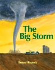 Image for The Big Storm