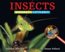 Image for Insects : Biggest! Littlest!
