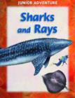 Image for Sharks and Rays