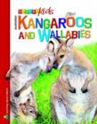 Image for Australian Kangaroos and Wallabies