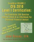 Image for ExamWise(R) CFA(R) 2010 Level I Certification Volume 2
