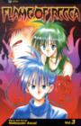 Image for Flame of Recca, Vol. 3