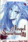 Image for Angel Sanctuary, Vol. 5