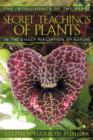 Image for The Secret Teachings of Plants : The Intelligence of the Heart in Direct Perception to Nature