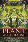 Image for Plant Spirit Healing