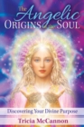 Image for The angelic origins of the soul: discovering your divine purpose