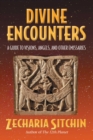 Image for Divine Encounters: A Guide to Visions, Angels, and Other Emissaries