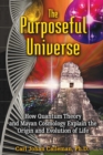 Image for Purposeful Universe: How Quantum Theory and Mayan Cosmology Explain the Origin and Evolution of Life