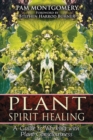 Image for Plant Spirit Healing: A Guide to Working with Plant Consciousness