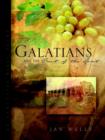Image for Galatians and the Fruit of the Spirit