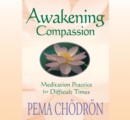 Image for Awakening Compassion