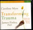Image for Transforming trauma  : uncovering the spiritual dimension of healing