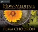 Image for How to meditate with Pema Chèodrèon  : a practical guide to making friends with your mind