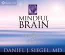 Image for The mindful brain  : the neurobiology of well-being