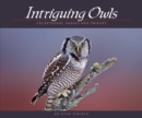 Image for Intriguing Owls : Exceptional Images and Insight
