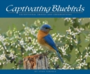 Image for Captivating Bluebirds : Exceptional Images and Observations