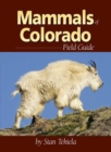 Image for Mammals of Colorado Field Guide