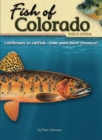 Image for Fish of Colorado Field Guide