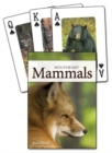 Image for Mammals of the Southeast Playing Cards